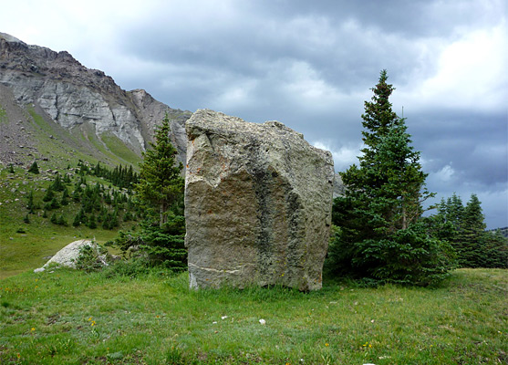 Angular boulder along the Sneffels Highline Trail