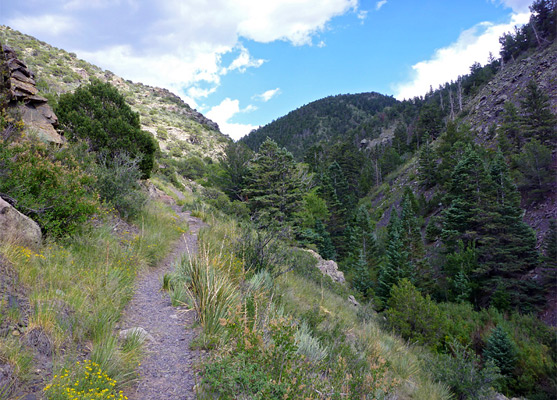 Gently sloping path up the canyon