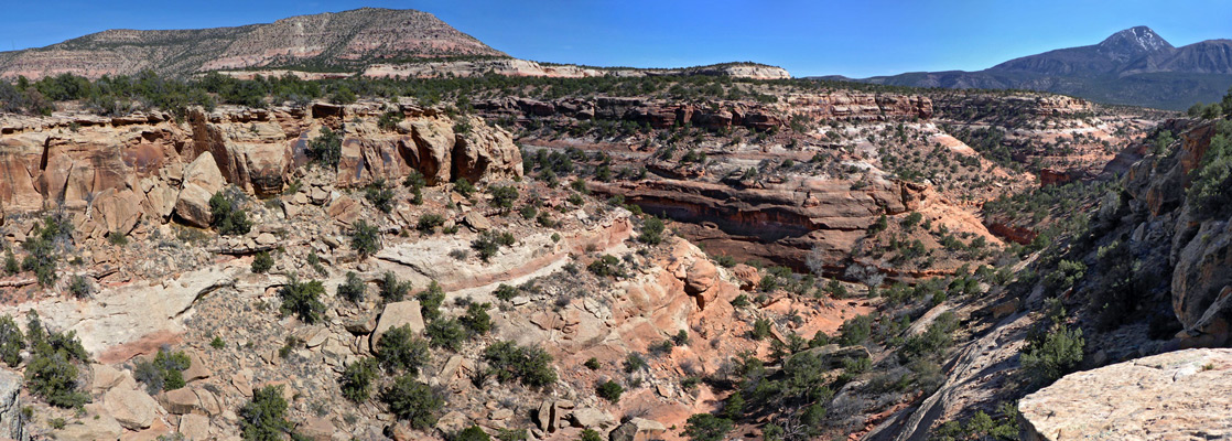 Junction towards the upper end of the canyon