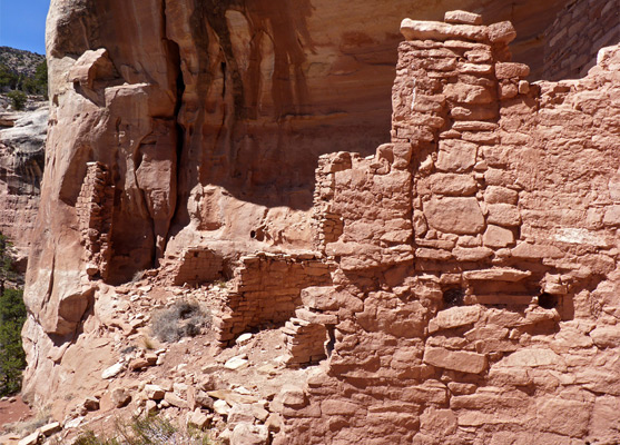 Sunny Alcove Ruins, Sand Canyon