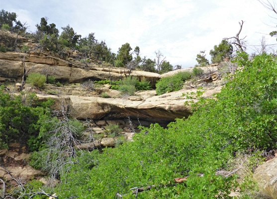 Cliffs and ledges