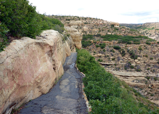 Path to Step House