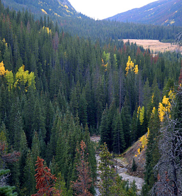 Kawuneeche Valley