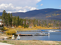 Trees and boats