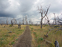 Badger House Trail