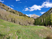 Meadow