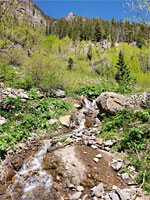 Tributary stream