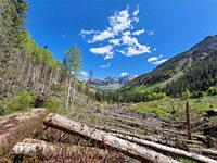 View down the valley