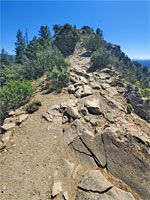 Ridgeline trail
