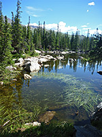 Shore of Chipmunk Lake