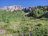 Grassy hillside