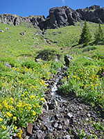 Tiny stream