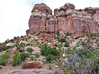 photograph