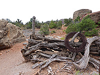 photograph