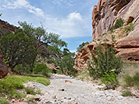 Echo Canyon Trail