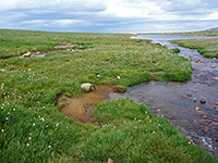 Stream across tundra