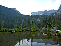 Pond by Fern Lake