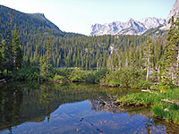 Reflections on a pond