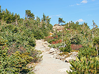 Trail to Flattop Mountain