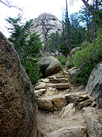 Steps on the trail