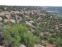 Hovenweep Canyon