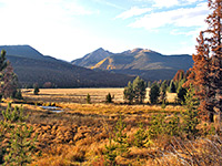 Kawuneeche Valley grasslands