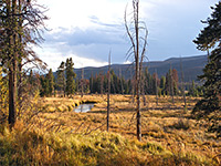 Kawuneeche Valley