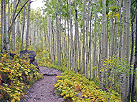 Crater Lake Trail