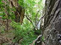 Trails of Black Canyon of the Gunnison