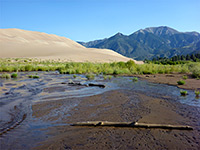 Great Sand Dunes National Park and Preserve