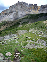 Grass and rocks