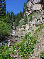 Cascade on Mill Creek