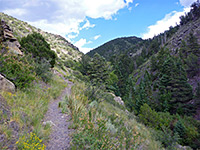 Mosca Pass Trail