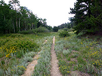 Mosca Pass Trail