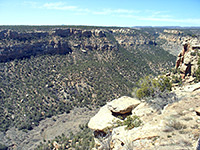 Navajo Canyon