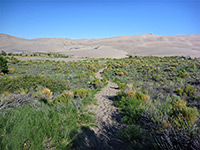Sand Pit Trail