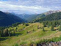 Grassy hillside