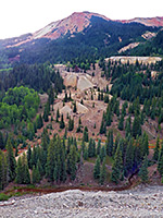 Trees and mine debris