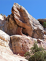 photograph