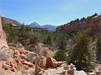 Sleeping Ute Mountain