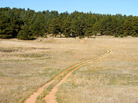 Sawmill Trail