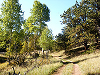 Sawmill Trail