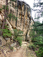 photograph