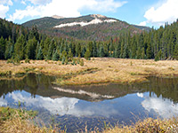 Reflections on the river