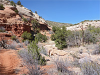 Upper end of the canyon