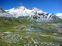 Ice Lake Trail