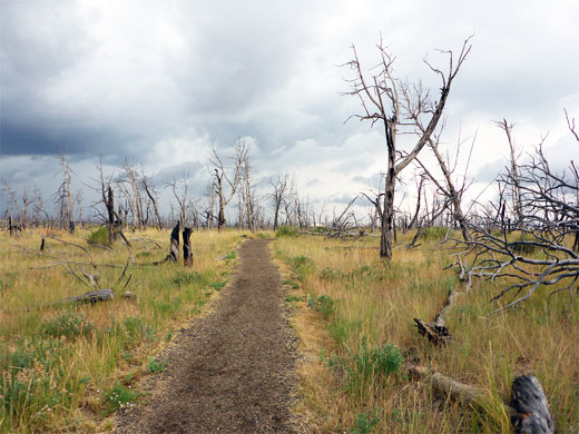Badger House Trail