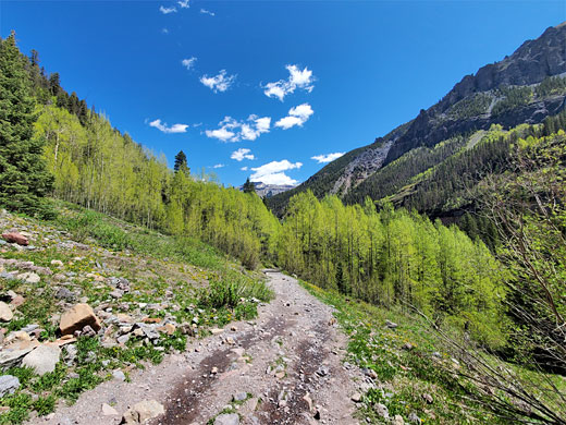 Stony section of the Bear Creek Trail