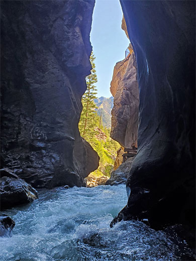 Stream from the falls