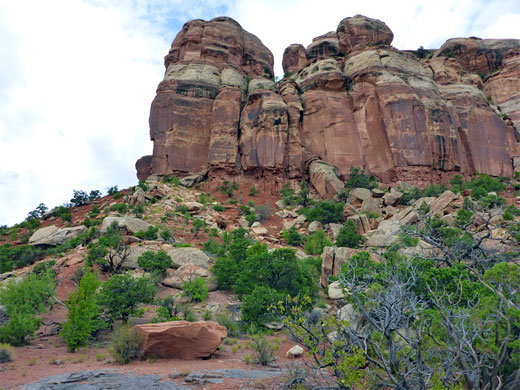 Wingate cliffs